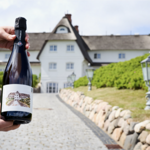 Person holds champagne bottle; house on label matches background.