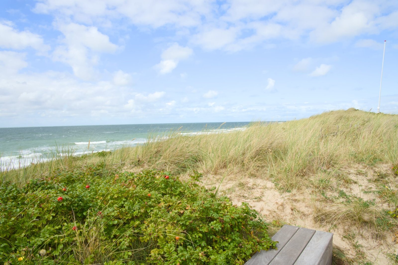 Strand mit Gras, grünen Sträuchern, Bank und bewölktem Meerblick.
