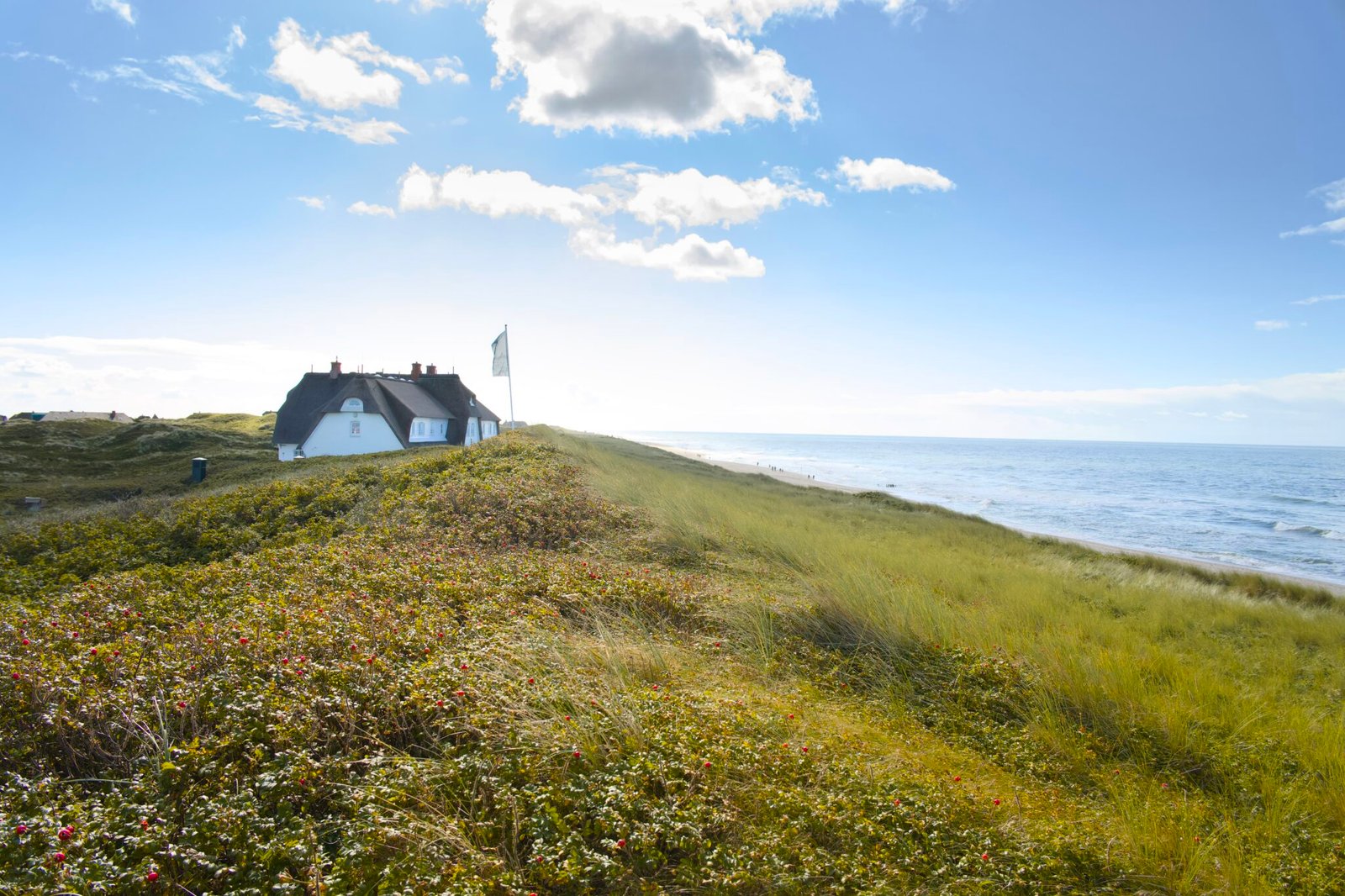 Weißes strohgedecktes Haus an einem grasbewachsenen Hügel, Meer, Fahnenmast, Wellen.
