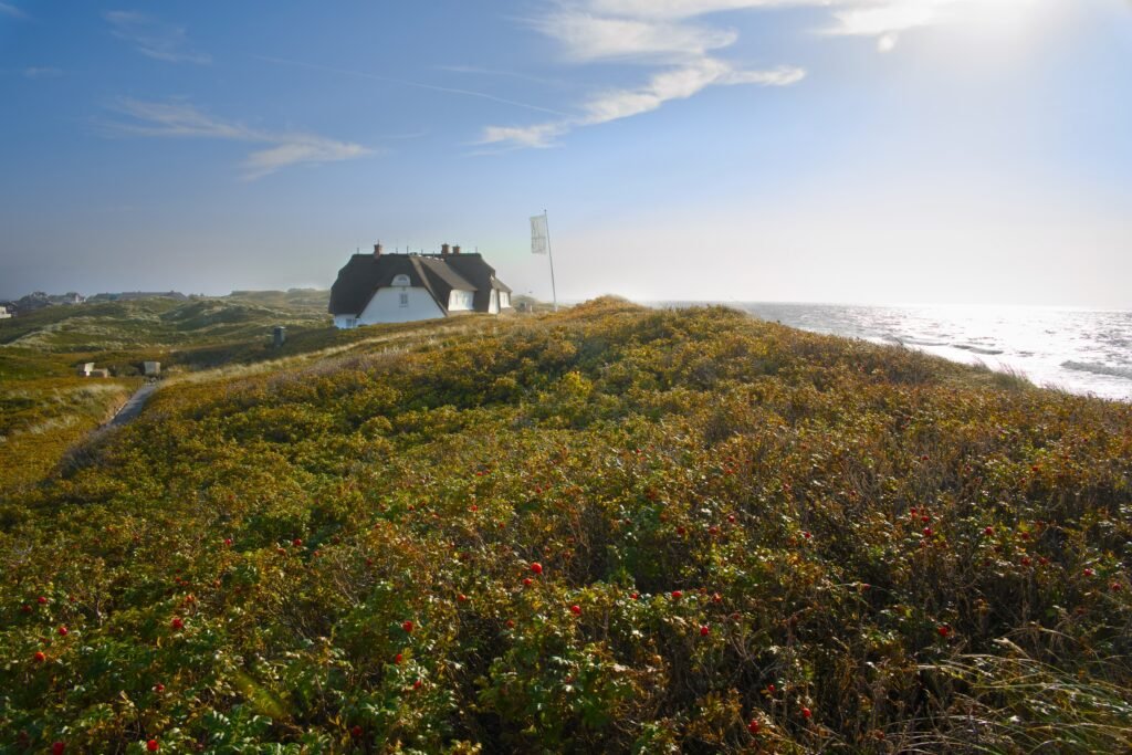 Söl’ring Hof auf Sylt: idyllischer Rückzugsort auf einer Anhöhe am Meer.