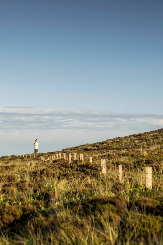White lighthouse on hill, wooden fence in foreground, clear sky.