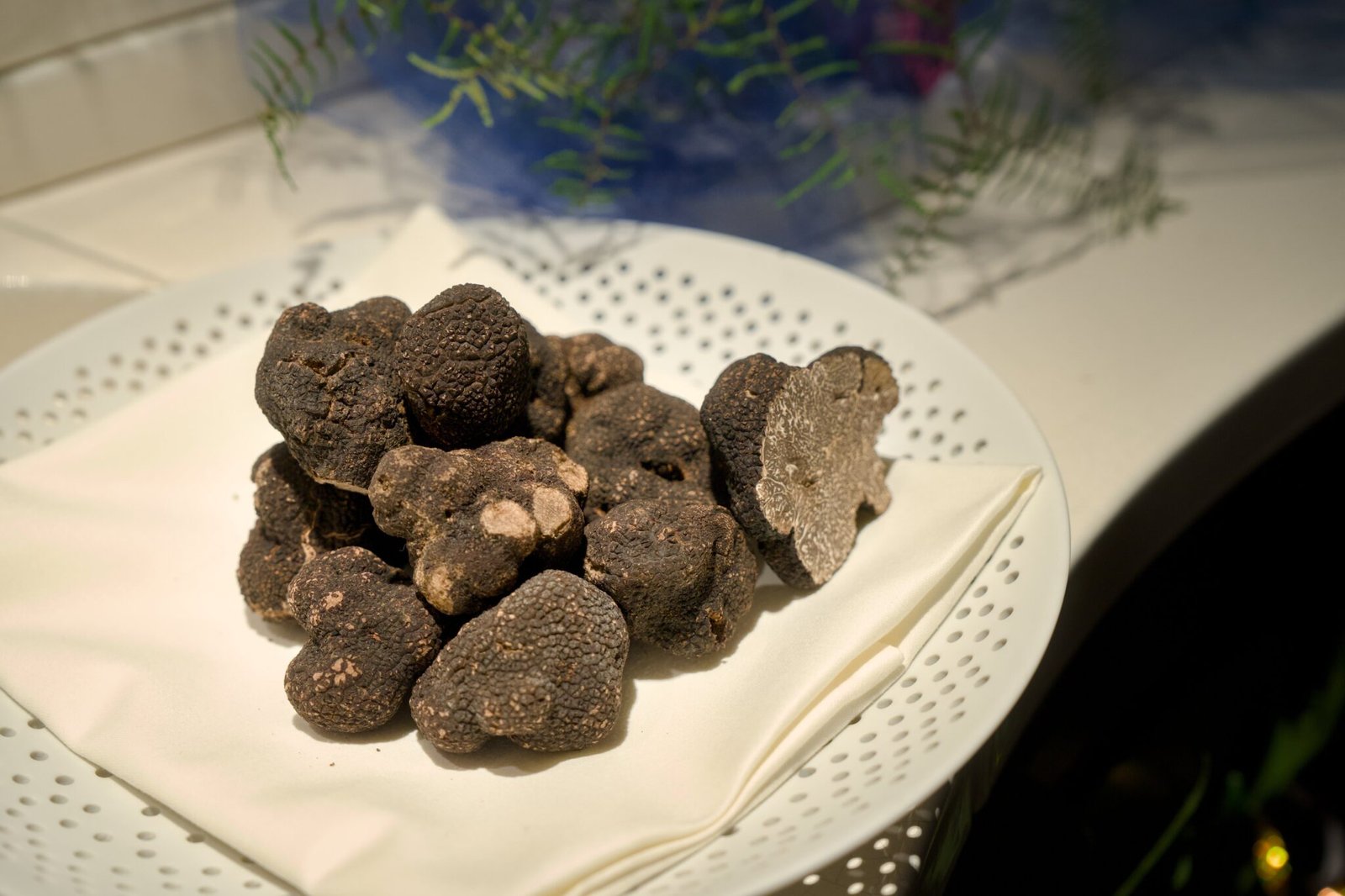 Black truffles on white plate, one cut open. Blurry foliage.