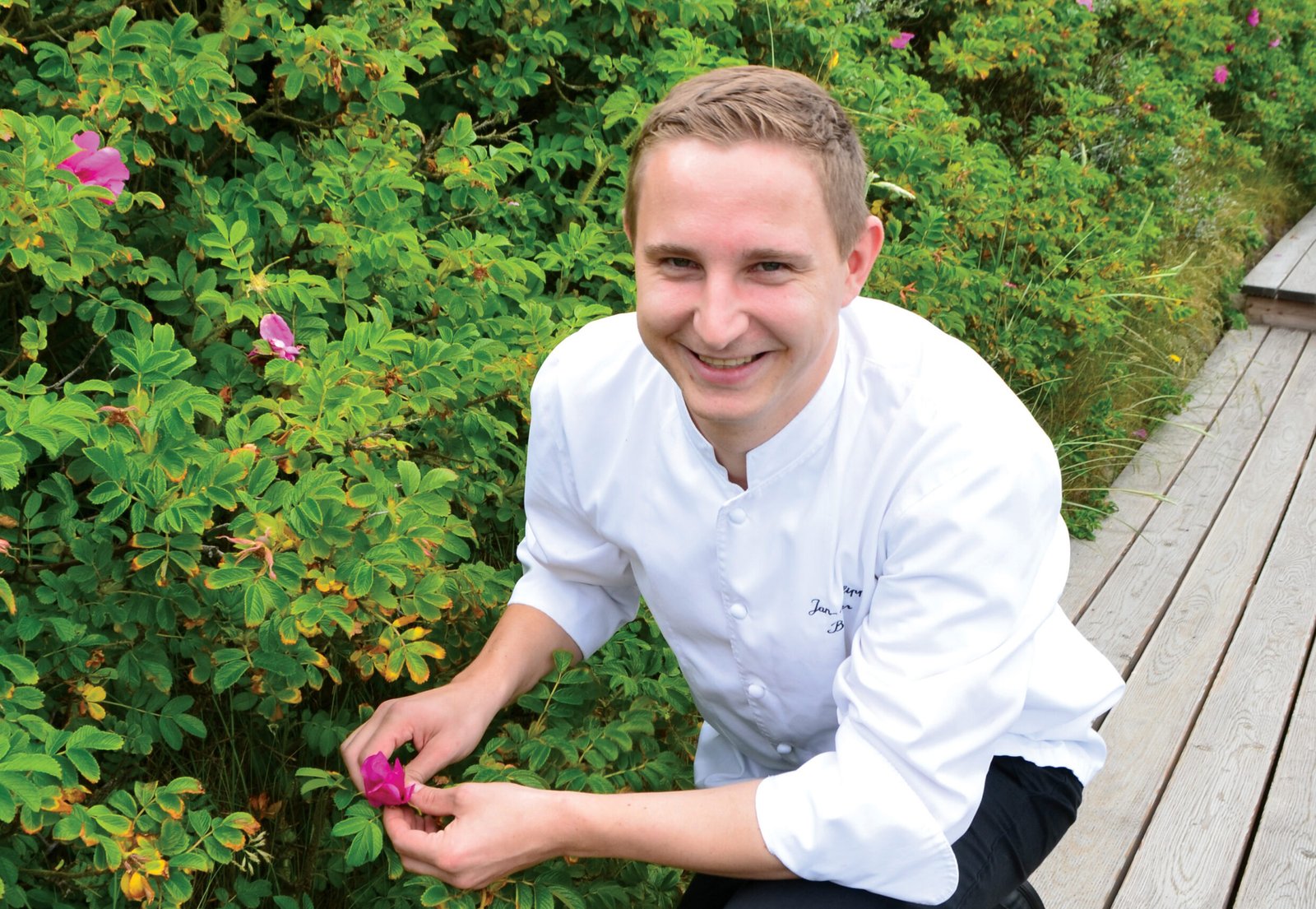 Küchenchef pflückt rosa Blumen auf dem Söl’ring Hof, einem Urlaubsort auf Sylt.