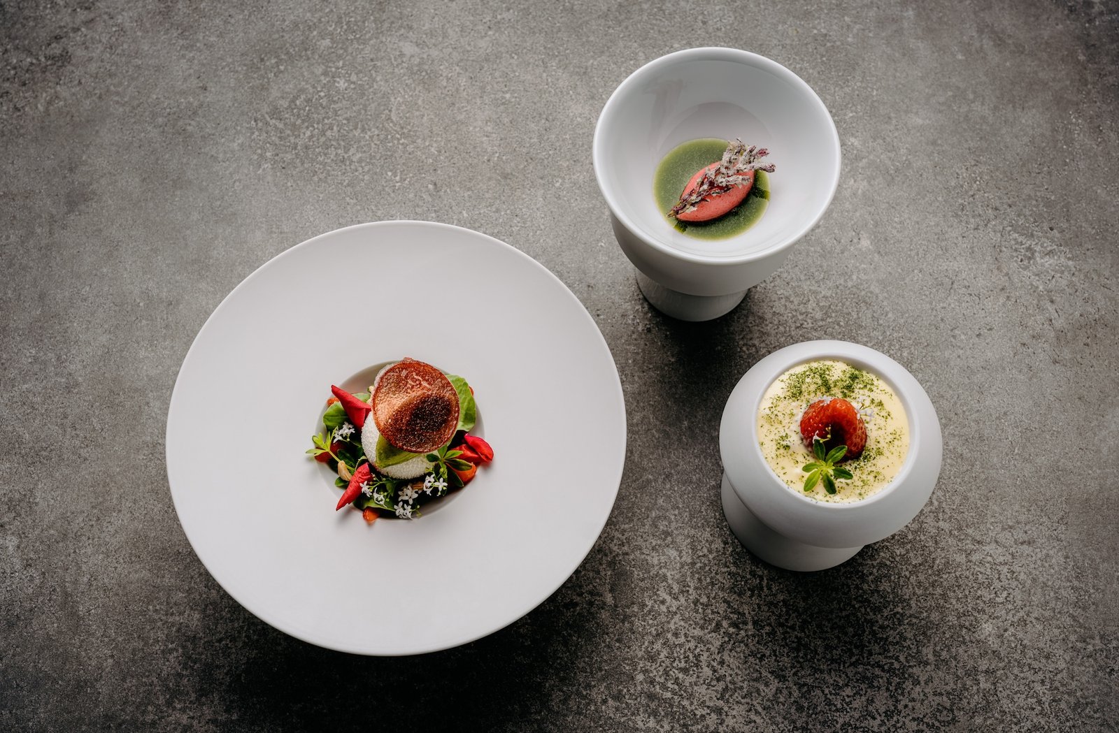 SH25_Food_web_0642