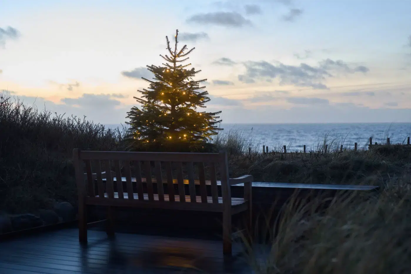 Die Bank auf dem Deck ist dem beleuchteten Weihnachtsbaum zugewandt, im Hintergrund der Sonnenuntergang über dem Meer.